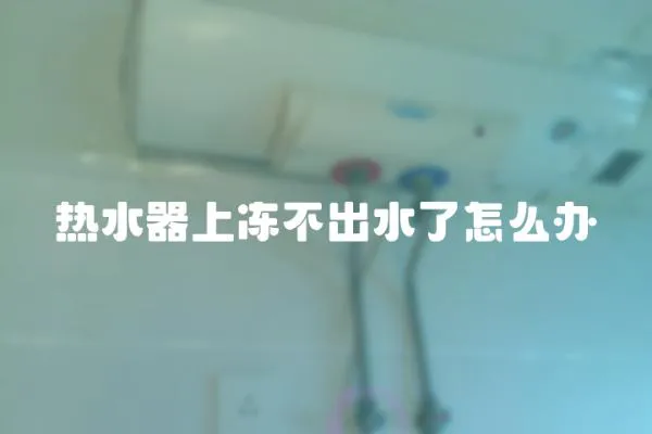 熱水器上凍不出水了怎么辦