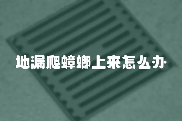 地漏爬蟑螂上來怎么辦