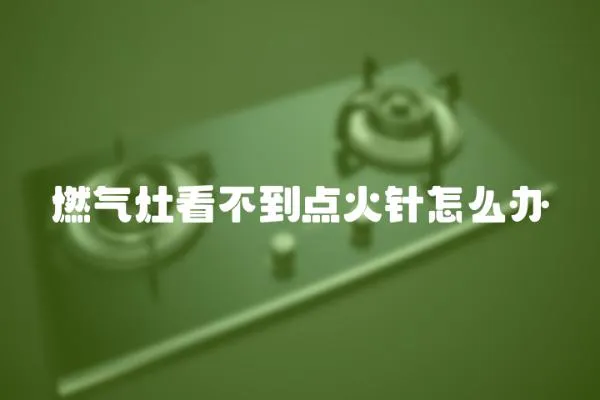 燃氣灶看不到點火針怎么辦