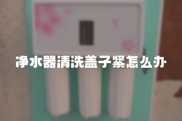 凈水器清洗蓋子緊怎么辦