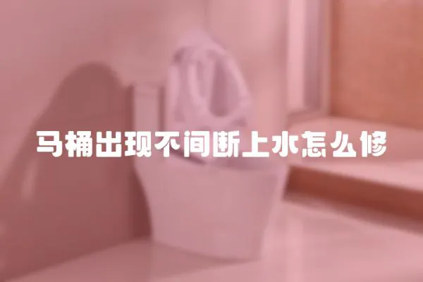 馬桶出現不間斷上水怎么修