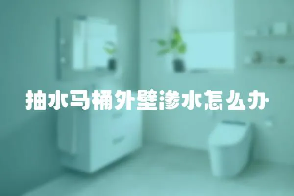 抽水馬桶外壁滲水怎么辦