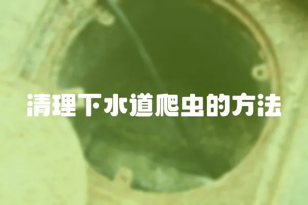 清理下水道爬蟲的方法
