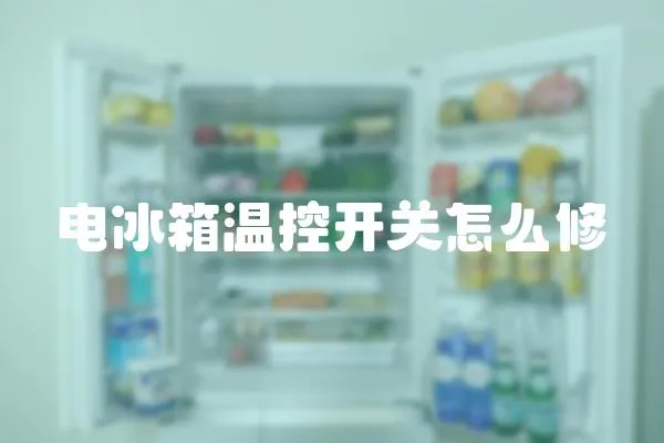 電冰箱溫控開關怎么修