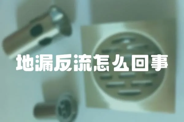 地漏反流怎么回事