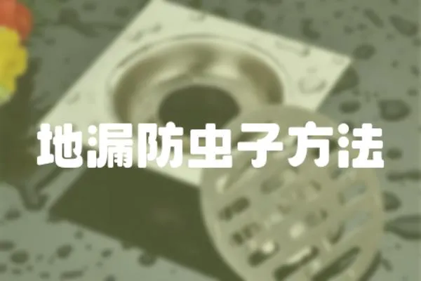 地漏防蟲子方法