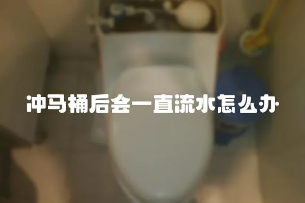 沖馬桶后會一直流水怎么辦