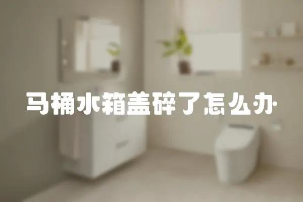 馬桶水箱蓋碎了怎么辦