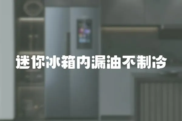 迷你冰箱內(nèi)漏油不制冷