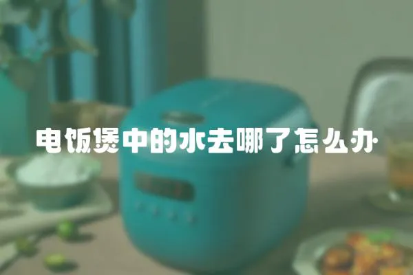 電飯煲中的水去哪了怎么辦