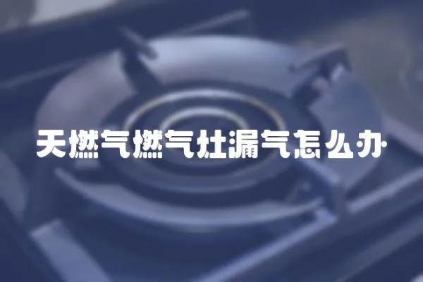 天燃氣燃氣灶漏氣怎么辦