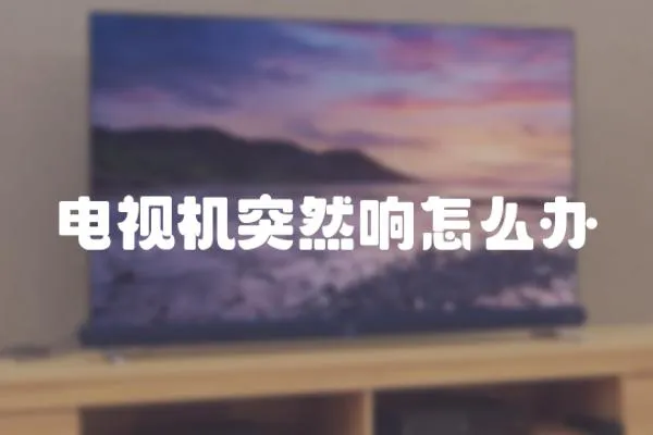 電視機突然響怎么辦