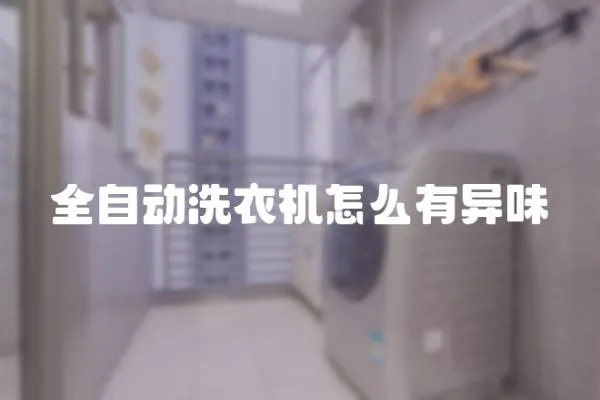 全自動洗衣機怎么有異味