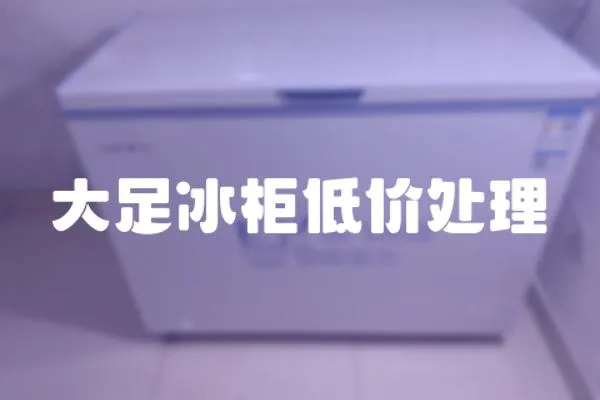 大足冰柜低價處理
