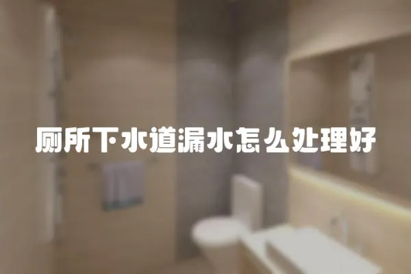 廁所下水道漏水怎么處理好