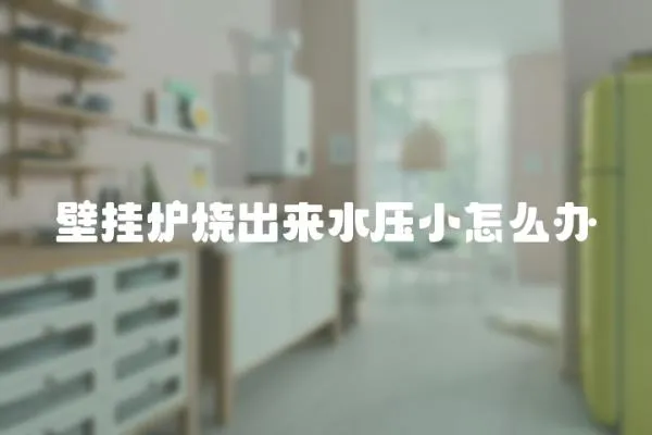 壁掛爐燒出來水壓小怎么辦
