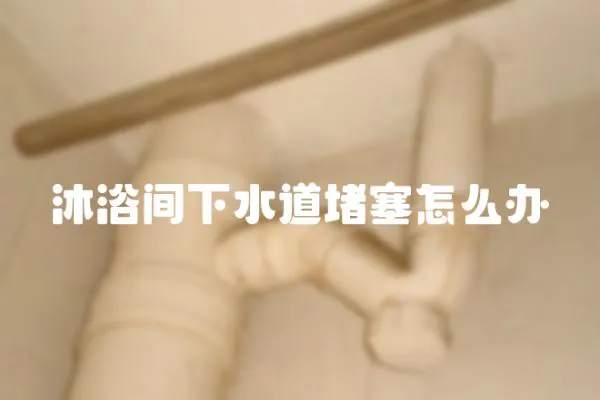 沐浴間下水道堵塞怎么辦