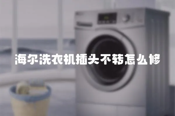 海爾洗衣機插頭不轉怎么修