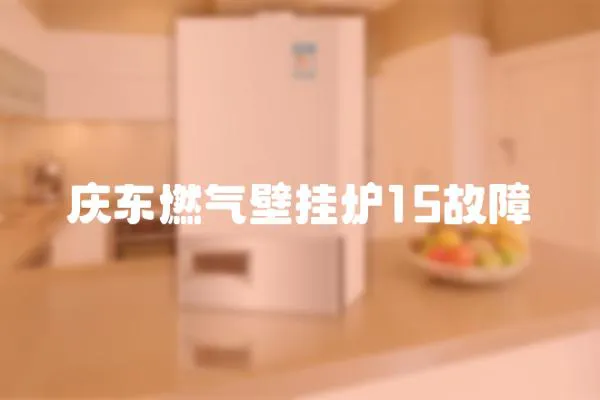 慶東燃氣壁掛爐15故障