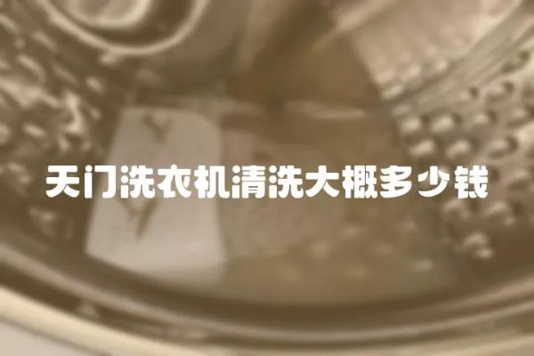 天門洗衣機清洗大概多少錢