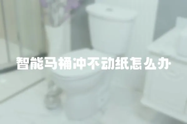 智能馬桶沖不動紙怎么辦