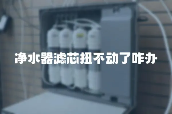 凈水器濾芯扭不動了咋辦