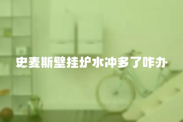 史麥斯壁掛爐水沖多了咋辦