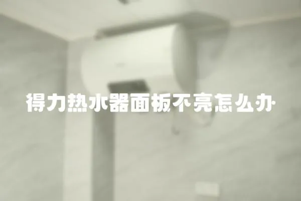 得力熱水器面板不亮怎么辦