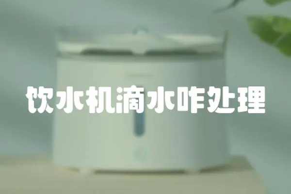 飲水機滴水咋處理