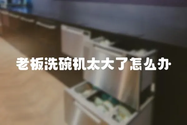 老板洗碗機太大了怎么辦