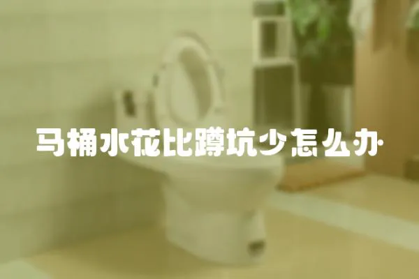 馬桶水花比蹲坑少怎么辦