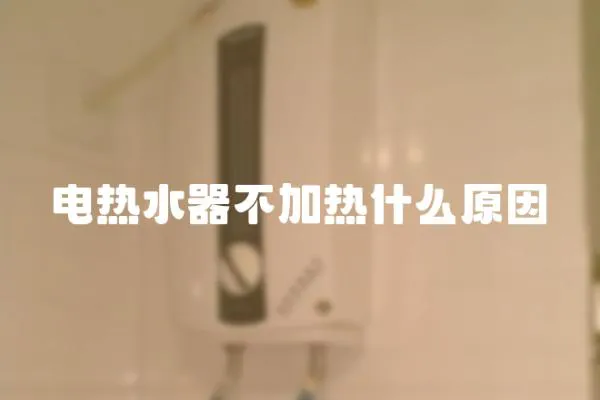 电热水器不加热什么原因