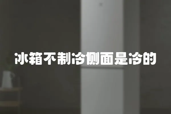 冰箱不制冷側面是冷的