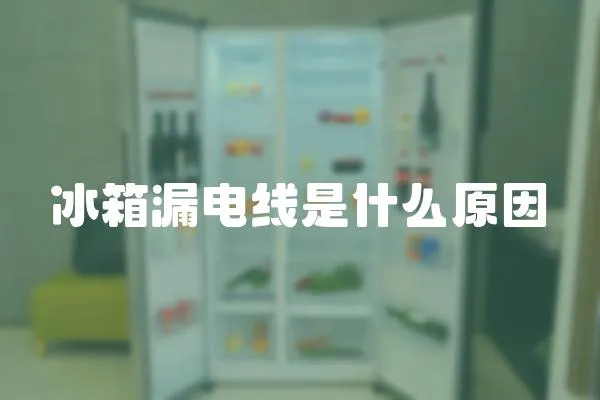 冰箱漏電線是什么原因