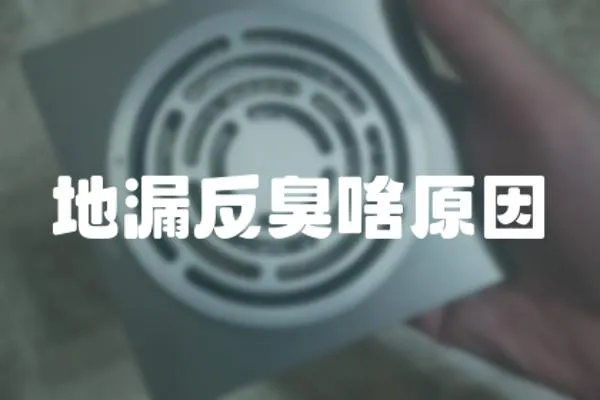 地漏反臭啥原因