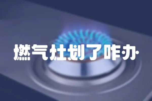 燃?xì)庠顒澚苏k