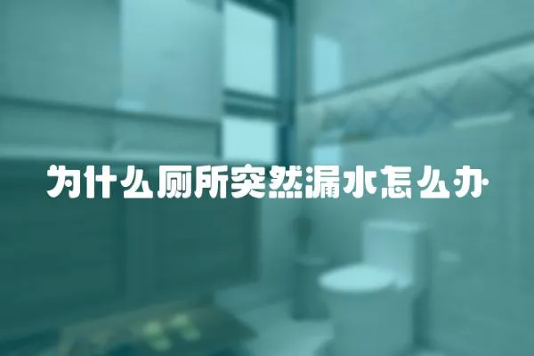 為什么廁所突然漏水怎么辦