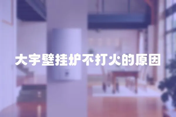 大宇壁掛爐不打火的原因