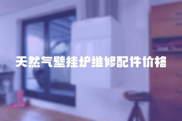 天然氣壁掛爐維修配件價格