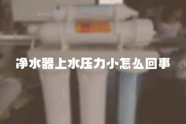凈水器上水壓力小怎么回事