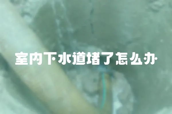 室內下水道堵了怎么辦