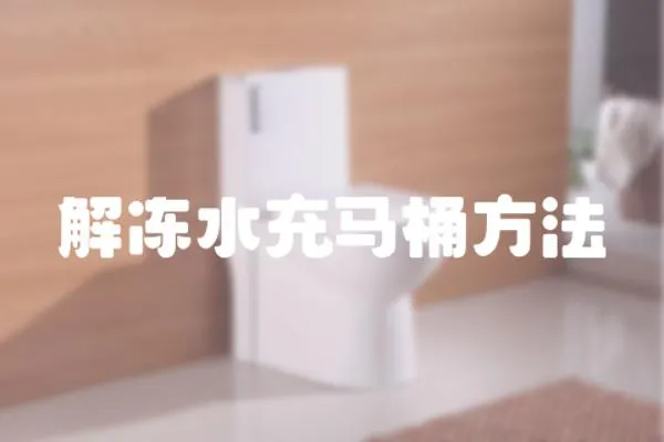 解凍水充馬桶方法