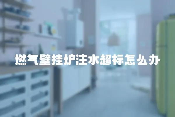 燃氣壁掛爐注水超標怎么辦