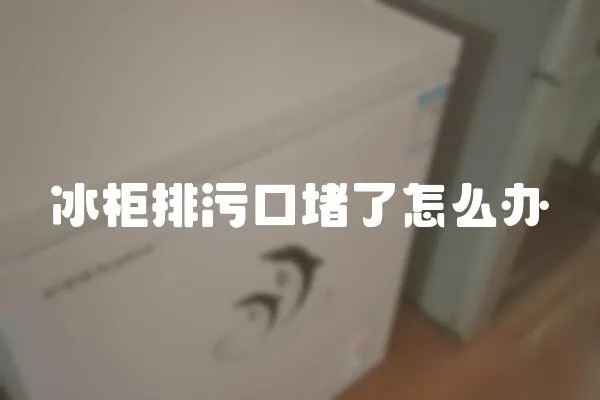 冰柜排污口堵了怎么辦