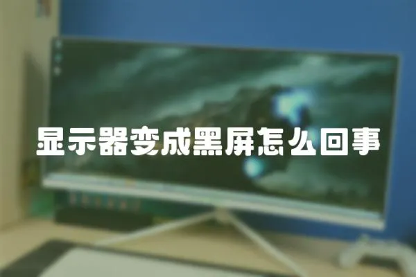 顯示器變成黑屏怎么回事