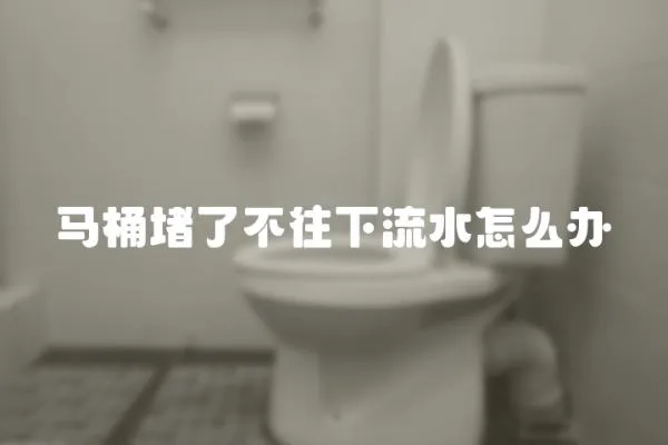 馬桶堵了不往下流水怎么辦