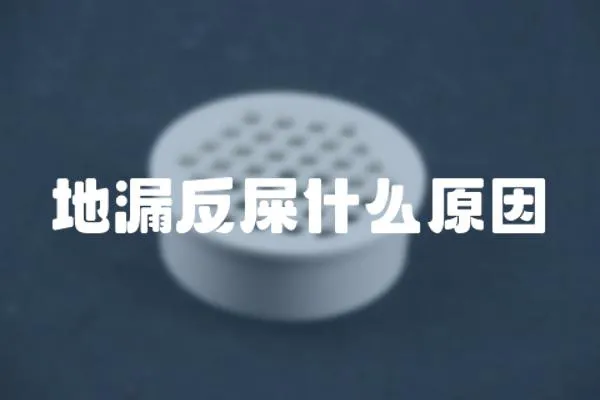 地漏反屎什么原因