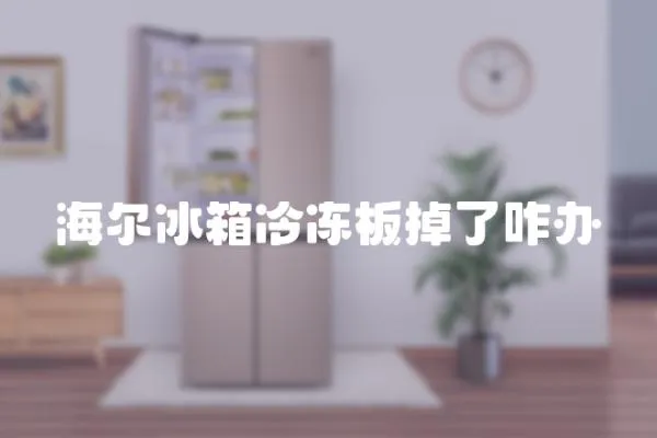 海爾冰箱冷凍板掉了咋辦