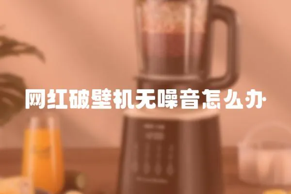 網紅破壁機無噪音怎么辦