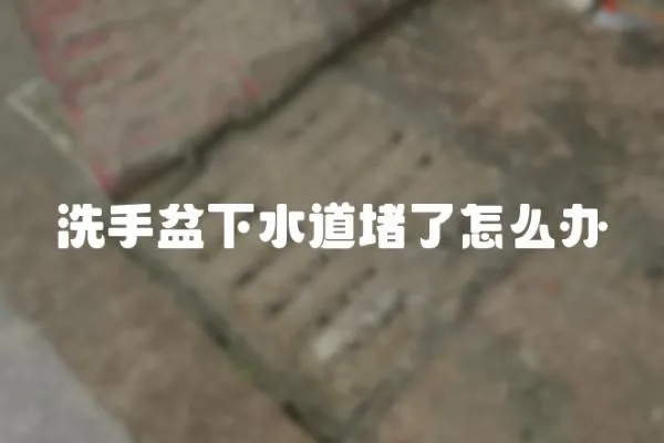 洗手盆下水道堵了怎么辦